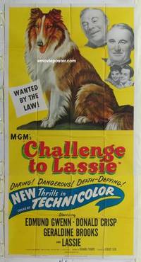 k238 CHALLENGE TO LASSIE three-sheet movie poster '49 classic canine Collie!