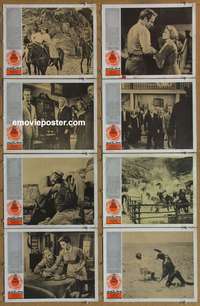 c111 BIG COUNTRY 8 movie lobby cards R60s Gregory Peck, Burl Ives