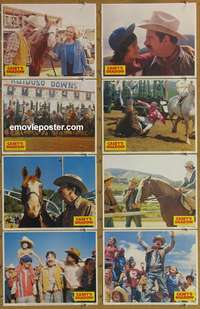 c171 CASEY'S SHADOW 8 movie lobby cards '78 horse racing, Matthau!