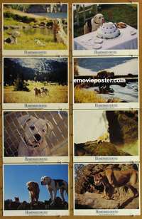 c386 HOMEWARD BOUND 8 movie lobby cards '93 Walt Disney animals!