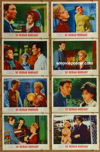 c615 OF HUMAN BONDAGE 8 movie lobby cards '64 Kim Novak, Harvey