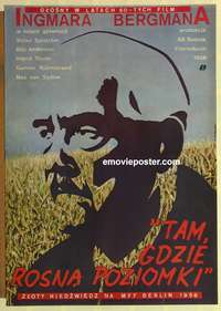d328 WILD STRAWBERRIES Polish movie poster R70s Ingmar Bergman