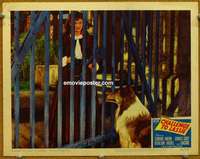 z377 CHALLENGE TO LASSIE movie lobby card #4 '49 classic canine Collie!