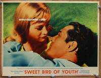 z768 SWEET BIRD OF YOUTH movie lobby card '62 Paul Newman, Knight