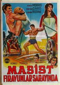 a262 TRIUMPH OF THE SON OF HERCULES Turkish movie poster '61 Maciste