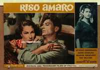 f329 BITTER RICE Italian photobusta movie poster R62 Silvana Mangano, Gassman