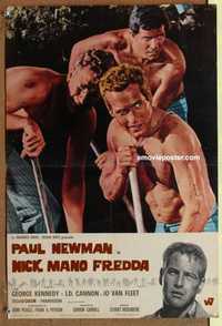 f331 COOL HAND LUKE Italian photobusta movie poster '67 Paul Newman classic!