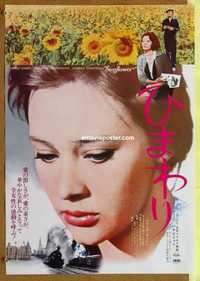 f675 SUNFLOWER Japanese movie poster R74 De Sica, Sophia Loren