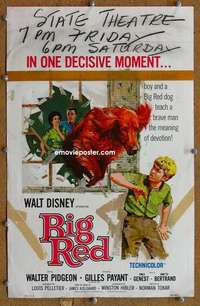 g031 BIG RED window card movie poster '62 Walt Disney, Pigeon, Irish Setter!