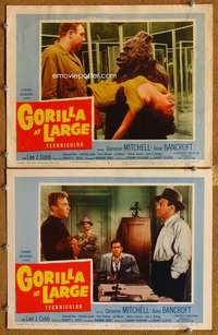 p988 GORILLA AT LARGE 2 movie lobby cards '54 big ape holds girl!