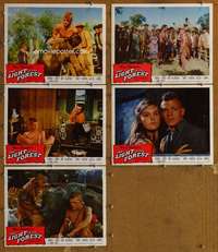 p767 LIGHT IN THE FOREST 5 movie lobby cards '58 Disney, James MacArthur
