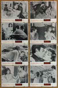 p432 THAT SPLENDID NOVEMBER 8 movie lobby cards '69 Gina Lollobrigida