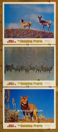 p948 LIVING DESERT/VANISHING PRAIRIE 3 movie lobby cards '71 True-Life Adventure!