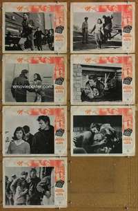 p603 WILD SEED 7 movie lobby cards '65 Michael Parks explodes!