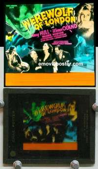 w226 WEREWOLF OF LONDON magic lantern movie glass slide '35 1st Universal!