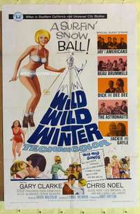b971 WILD WILD WINTER one-sheet movie poster '66 rock & roll, sexy skiier!