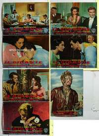 c177 GIANT 7 Italian photobusta movie posters '56 James Dean, Taylor
