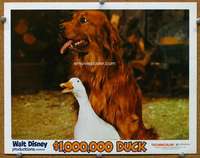 f235 $1,000,000 DUCK movie lobby card '71 cute duck & Irish Setter dog!