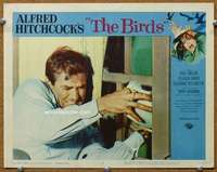 q048 BIRDS movie lobby card #6 '63 Rod Taylor close up bird attack!