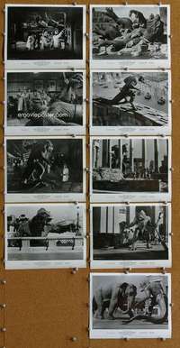 z175 20 MILLION MILES TO EARTH 9 8x10 movie stills '57 all fx images!
