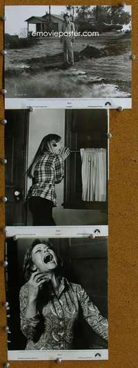 z435 BUG 3 8x10 movie stills '75 Dillman, wild insect horror images