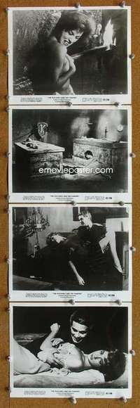 z130 PLAYGIRLS & THE VAMPIRE 11 8x10 movie stills '63 Italian horror!