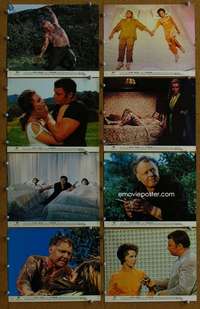 a057 ILLUSTRATED MAN 8 color 8x10 movie stills '69 Ray Bradbury