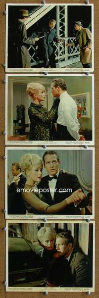a073 PRIZE 8 Eng/US color 8x10 movie stills '63 Paul Newman, Sommer