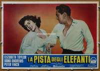 k209 ELEPHANT WALK Italian photobusta movie poster '54 Liz Taylor
