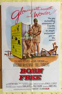 p116 BORN FREE one-sheet movie poster '66 Virginia McKenna, Travers, lion!