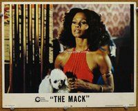 b649 MACK movie lobby card #8 '73 sexy Carol Speed with poodle!