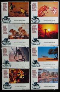 c111 BEAUTIFUL PEOPLE 8 movie lobby cards '75 Jamie Uys, Africa!