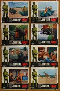 c401 HATARI 8 movie lobby cards R67 John Wayne, Howard Hawks, Africa!