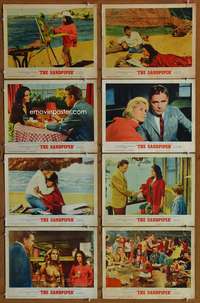 c684 SANDPIPER 8 movie lobby cards '65 Liz Taylor, Richard Burton
