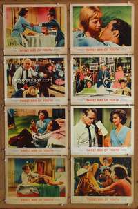 c770 SWEET BIRD OF YOUTH 8 movie lobby cards '62 Paul Newman, Page