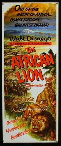 d030 AFRICAN LION insert movie poster '55 Walt Disney