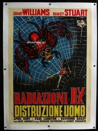 f045 INCREDIBLE SHRINKING MAN linen Italian one-panel movie poster '57 cool!