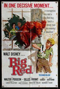 g078 BIG RED one-sheet movie poster '62 Disney, Pigeon, Irish Setter!
