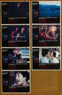 h258 AMERICAN WEREWOLF IN LONDON 7 int'l move lobby cards '81 Landis
