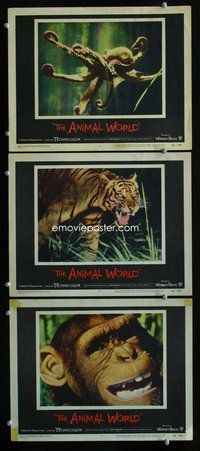 h756 ANIMAL WORLD 3 move lobby cards '56 octopus, tiger, chimp!