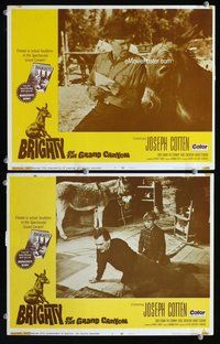 h846 BRIGHTY OF THE GRAND CANYON 2 move lobby cards '67 Joseph Cotton
