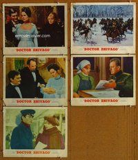 h569 DOCTOR ZHIVAGO 5 move lobby cards '65 David Lean English epic!