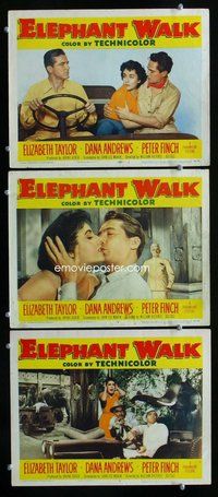 h769 ELEPHANT WALK 3 move lobby cards '54 Elizabeth Taylor, Finch