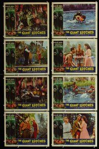 h088 ATTACK OF THE GIANT LEECHES 8 move lobby cards '59 Roger Corman