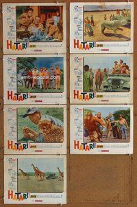 h320 HATARI 7 move lobby cards '62 John Wayne, Howard Hawks, Africa!