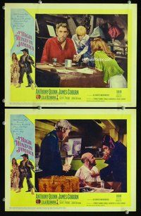 h873 HIGH WIND IN JAMAICA 2 move lobby cards '65 Anthony Quinn, Coburn