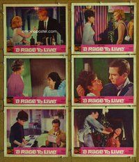 h500 RAGE TO LIVE 6 move lobby cards '65 Suzanne Pleshette, Dillman