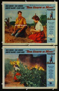 h918 THIS EARTH IS MINE 2 move lobby cards '59 Rock Hudson, Simmons