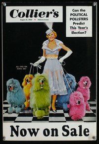 k308 COLLIER'S DORIS DAY special window card movie poster '52 Doris Day w/poodles!