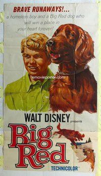 n310 BIG RED three-sheet movie poster '62 Walt Disney, Pigeon, Irish Setter!